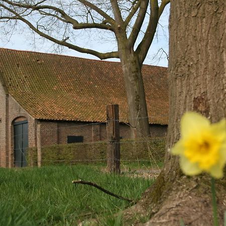 Erfgoedlogies D'Ouffenhoff Baarlo (Limburg) Room photo