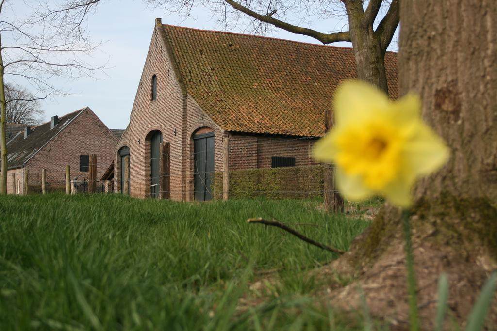 Erfgoedlogies D'Ouffenhoff Baarlo (Limburg) Room photo