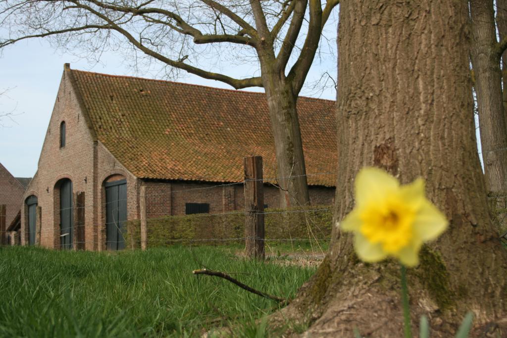 Erfgoedlogies D'Ouffenhoff Baarlo (Limburg) Room photo